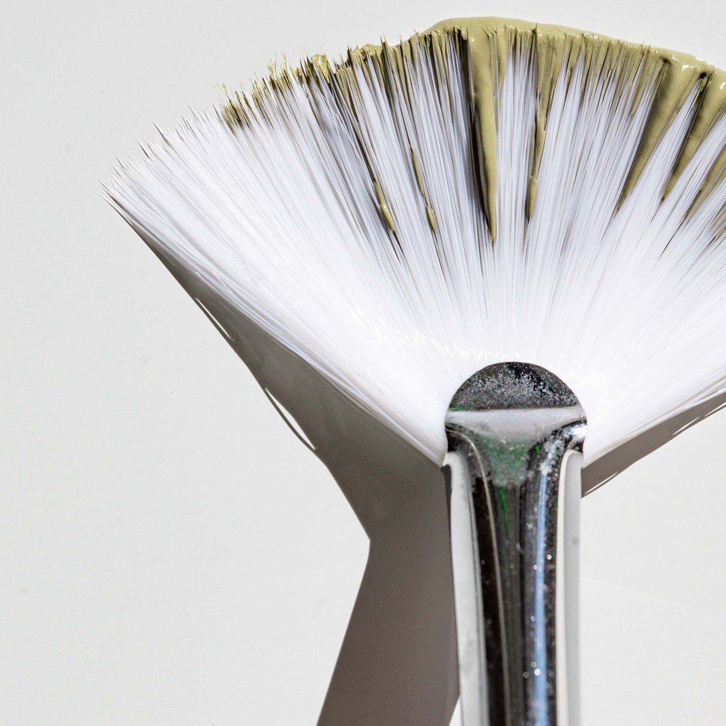 Facial Fan Brush